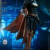 Batgirl - Batman: Arkham Knight Hot Toys Collectibles 1/6 Scale Action Figure