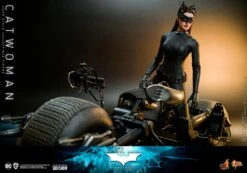 *PRE-ORDER Catwoman - Batman: The Dark Knight Hot Toys Collectibles 1/6 Scale Action Figure 16 *PRE-ORDER Catwoman - Batman: The Dark Knight Hot Toys Collectibles 1/6 Scale Action Figure -Toy Hotsale Store catwoman dc comics gallery 61b033290ff4c