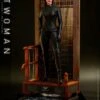 *PRE-ORDER Catwoman - Batman: The Dark Knight Hot Toys Collectibles 1/6 Scale Action Figure