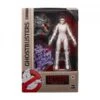 Hasbro Ghostbusters Plasma Series Action Figure Wave 1 - Gozer 2 Hasbro Ghostbusters Plasma Series Action Figure Wave 1 - Gozer -Toy Hotsale Store e9798 prod ghb plasma20series20gozer pkg
