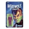 SUPER7 Universal Monsters ReAction Action Figure - Werewolf Of London -Toy Hotsale Store wfldw01 wol 01 1 800x800 1